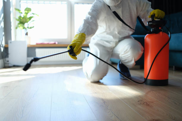 Reliable Infectious Disease Decontamination contractor in Piru, CA by Crime Scene Cleaner Online